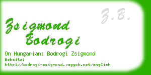 zsigmond bodrogi business card